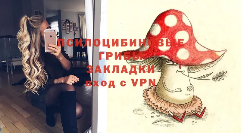 Псилоцибиновые грибы MAGIC MUSHROOMS  МЕГА маркетплейс  Рошаль 